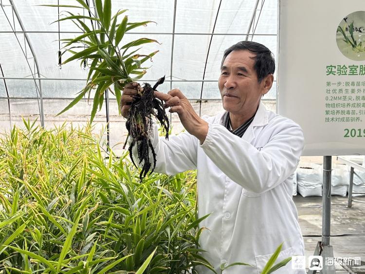 最新病菌动态更新，健康科普提醒，你准备好了吗？