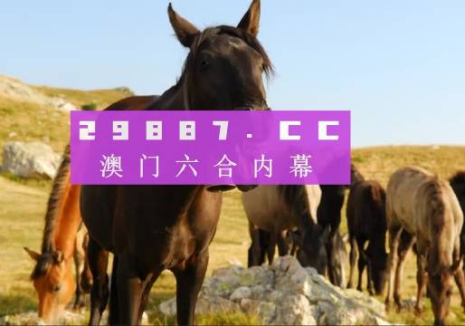2025新澳门管家婆正版资木车,实地观察解释定义_娱乐版57.342