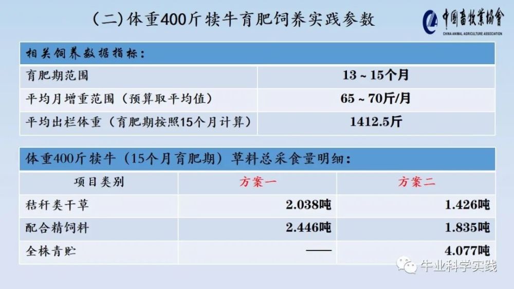 二四六天好彩308kcm,实践数据分析评估_备用版57.148