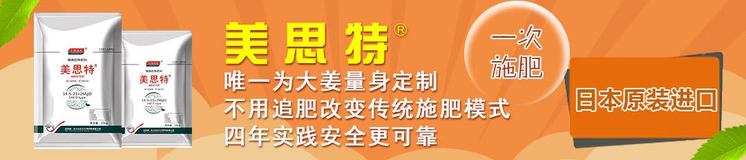 生姜最新价格行情更新通知