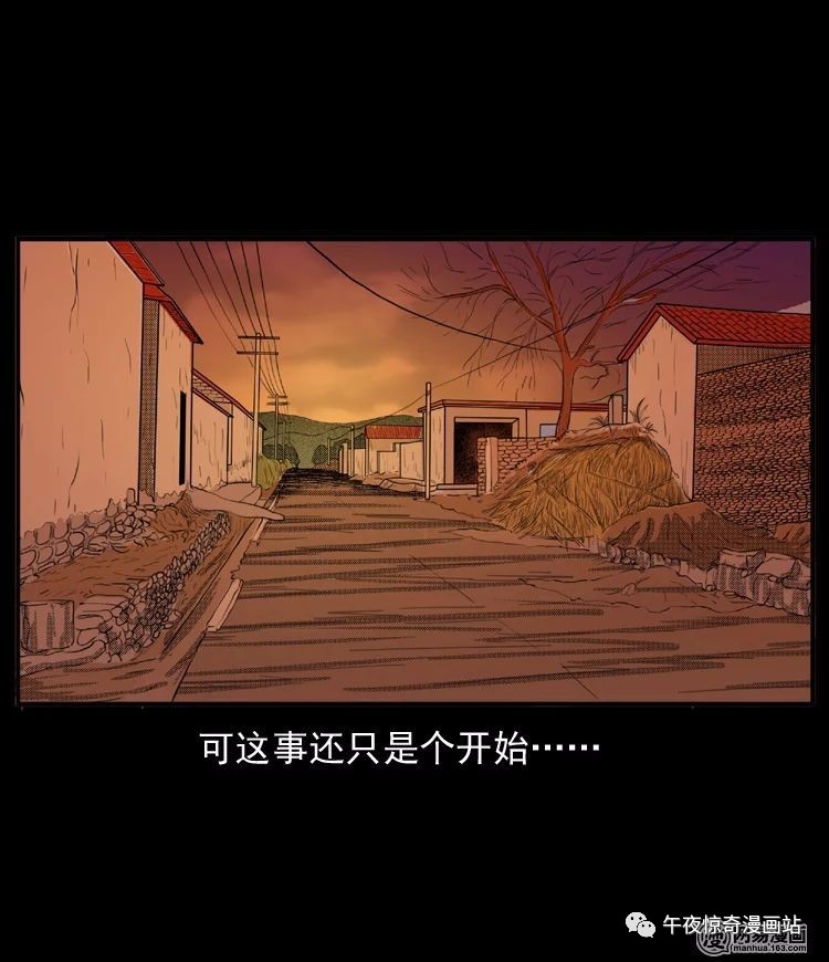 动漫动物图片探秘，小巷深处特色小店的神秘面纱