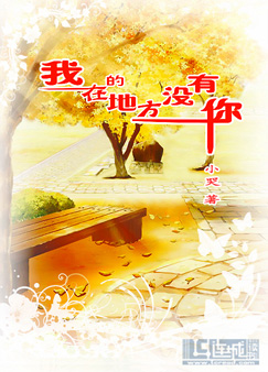没有你最新篇章揭秘，情感深度与人生感悟的交融之旅