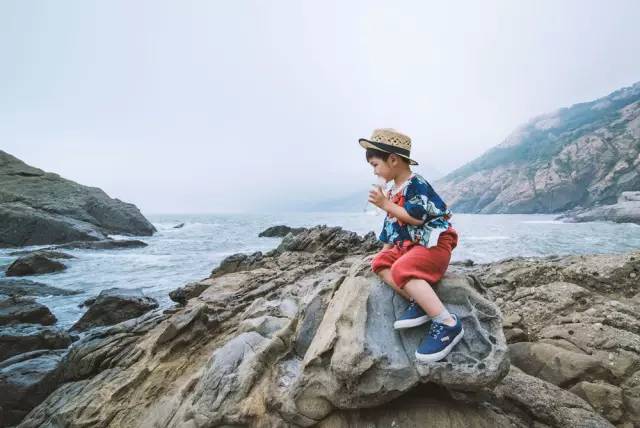 将将三人行，自然美景的治愈之旅最新内容探索