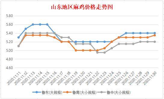 山东麻鸡价格行情动态更新，最新山东麻鸡市场行情分析