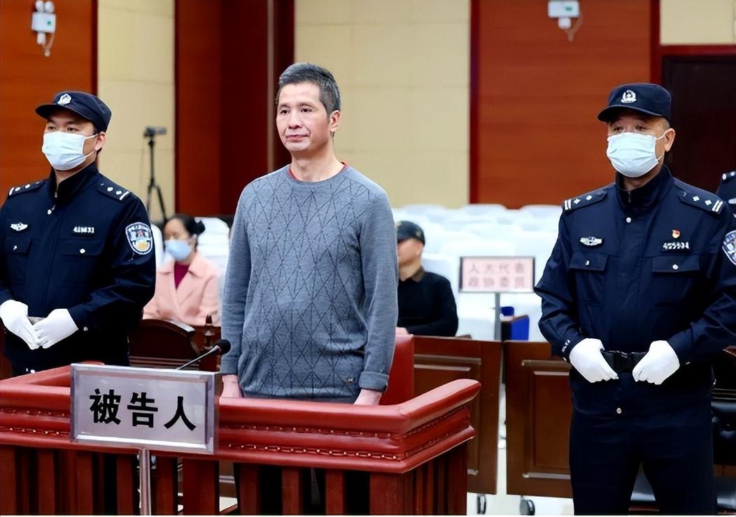 广西最新人事任免公示，解读与观点分析