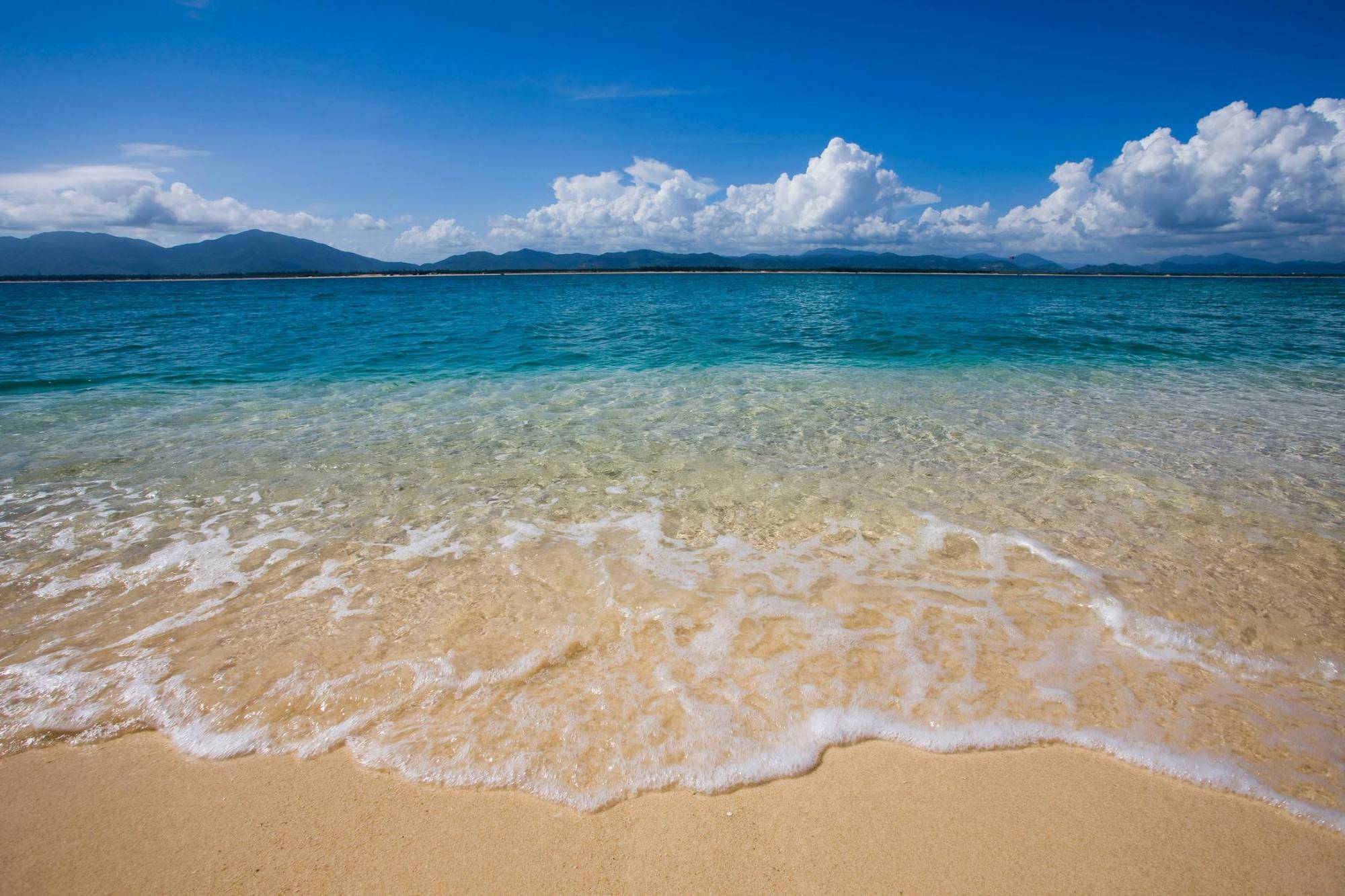 滨海夏日沙滩的温情故事揭秘最新消息