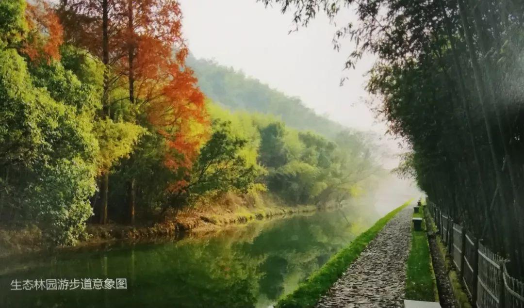 最新苗木求购信息及小巷深处的绿色宝藏介绍