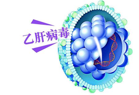 乙肝治疗获重大突破，曙光初现的希望之光