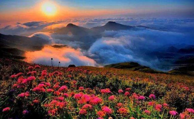 SIHU最新地址，自然美景的梦幻探索之旅