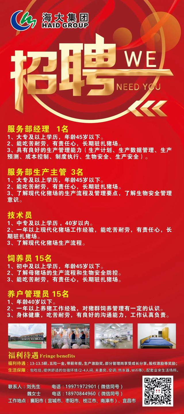 雷州最新招聘信息，与自然和谐共舞，开启内心平和之旅