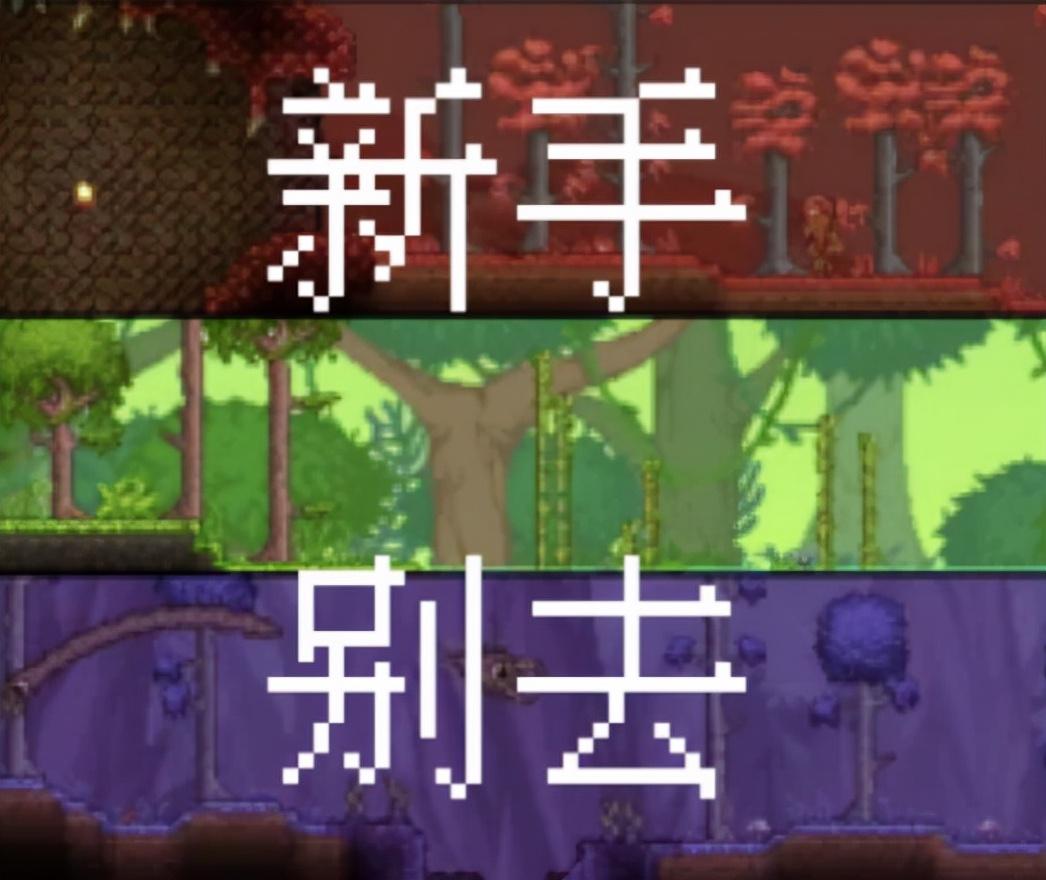 探索之旅