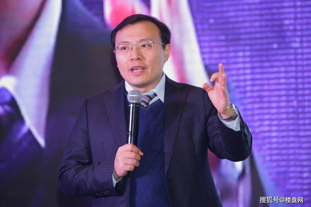 任泽平最新观点，引领经济新风尚的深刻洞察与解析