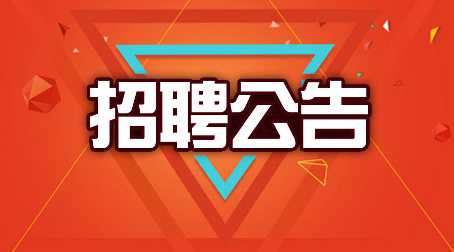 鹤岗招聘网最新招聘，城市求职奇遇与友情的温暖纽带