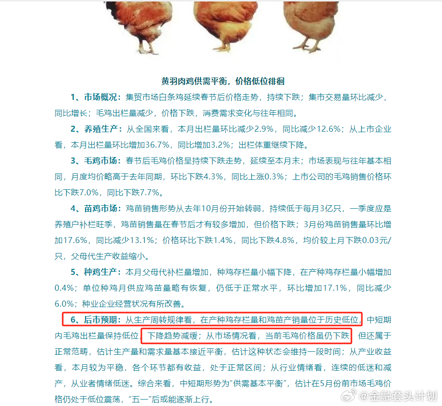 毛鸡最新价格，友情的小插曲与最新市场动态