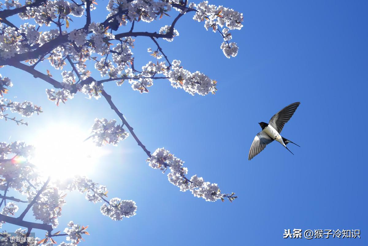 最新电影 第19页