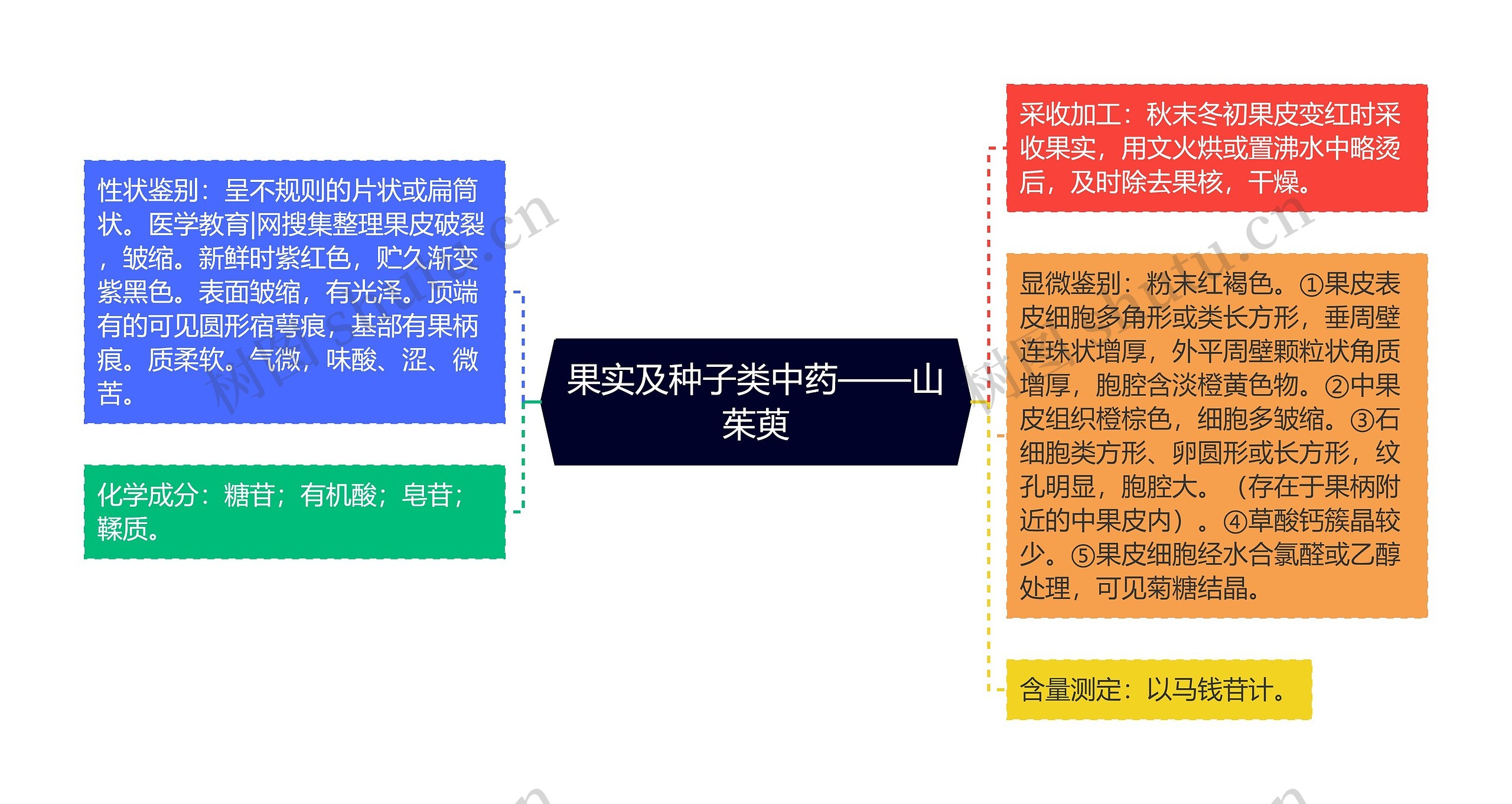 山茱萸最新行情与友情的交织故事