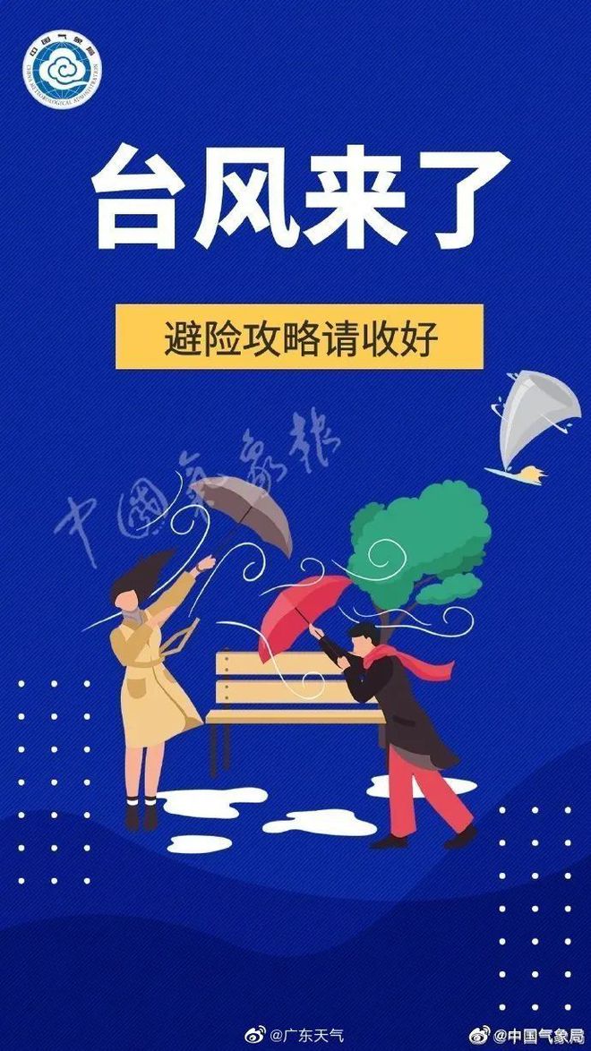 台风中的励志故事，风雨中的自信与成就感成长之路