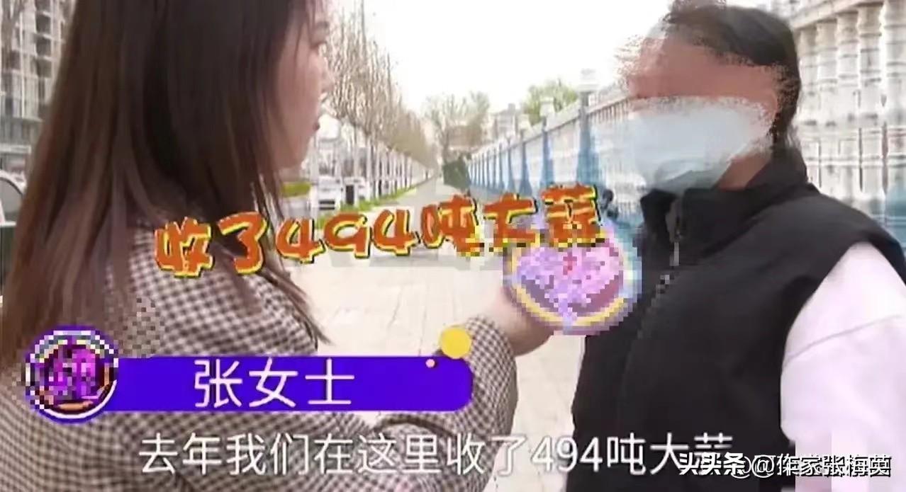 冷库大蒜最新价格行情概览