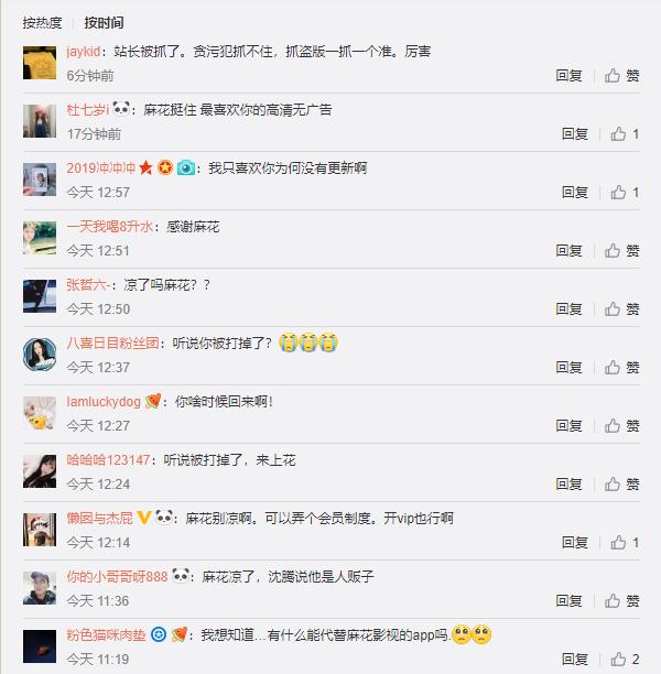 秋霞最新理论片，影视艺术的深度探索与魅力呈现