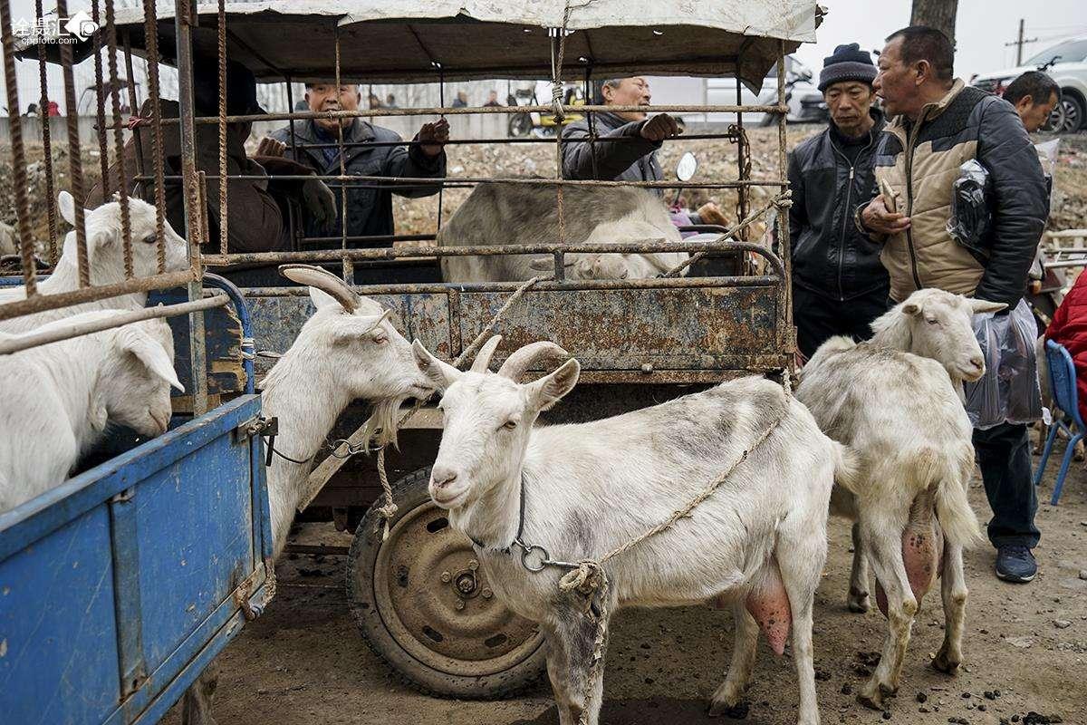影响与地位分析