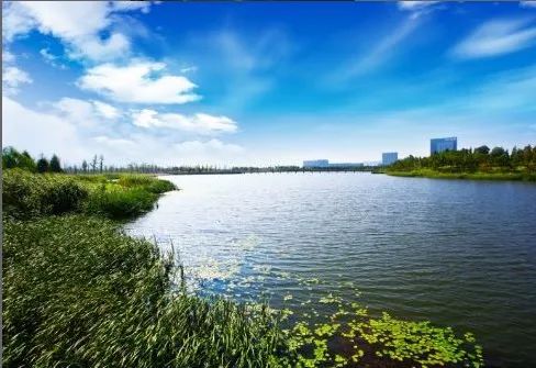青山湖科技城最新动态，自然美景与心灵宁静的探索之旅