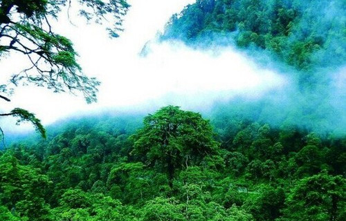翼课网下载最新版本，启程探索自然美景的治愈之旅