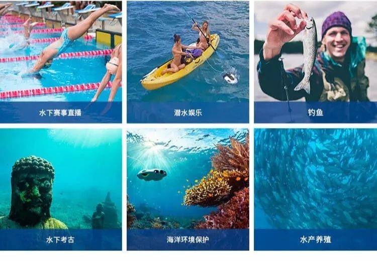 探索知识海洋，获取最新版本37pao下载，成就自信与成就感的源泉