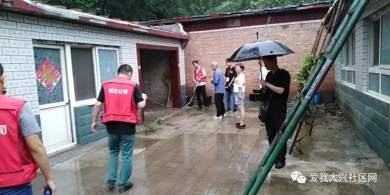 新机场噪音村最新动态，探索自然美景之旅，寻求内心平和与宁静的旅程