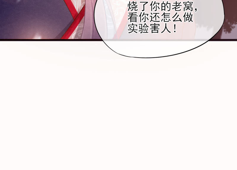 乔锦和夜千尘最新章节深度解析与观点阐述