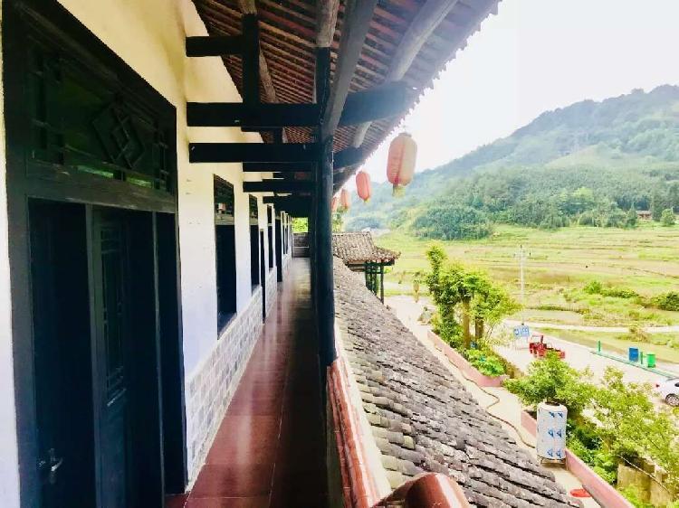 百里竹海最新消息,百里竹海最新消息🎋🌿🍃
