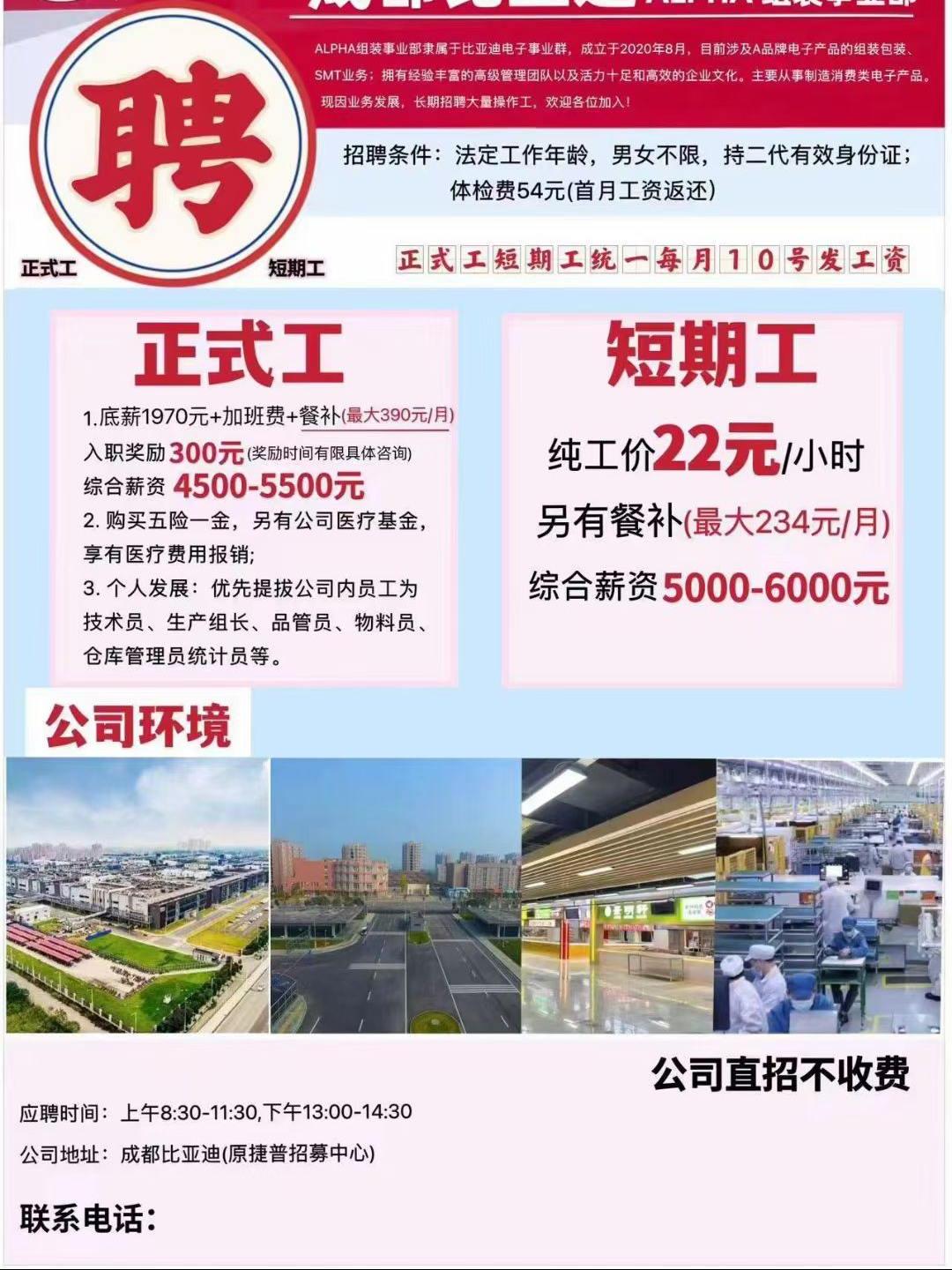 都江堰最新临时工招聘，小城温暖故事启航