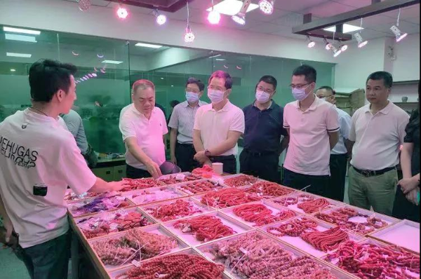 深圳市刘卫翔最新情况及小巷中的隐藏美食天堂揭秘