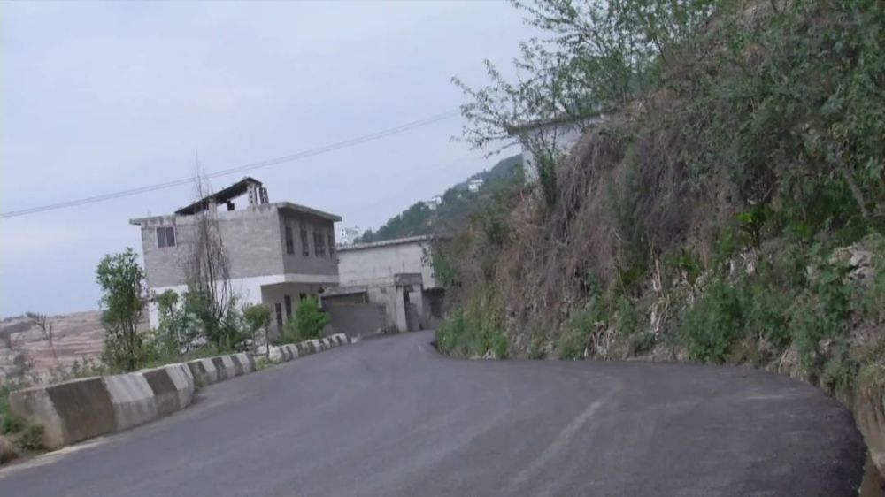 博野县保衡路最新新闻报道
