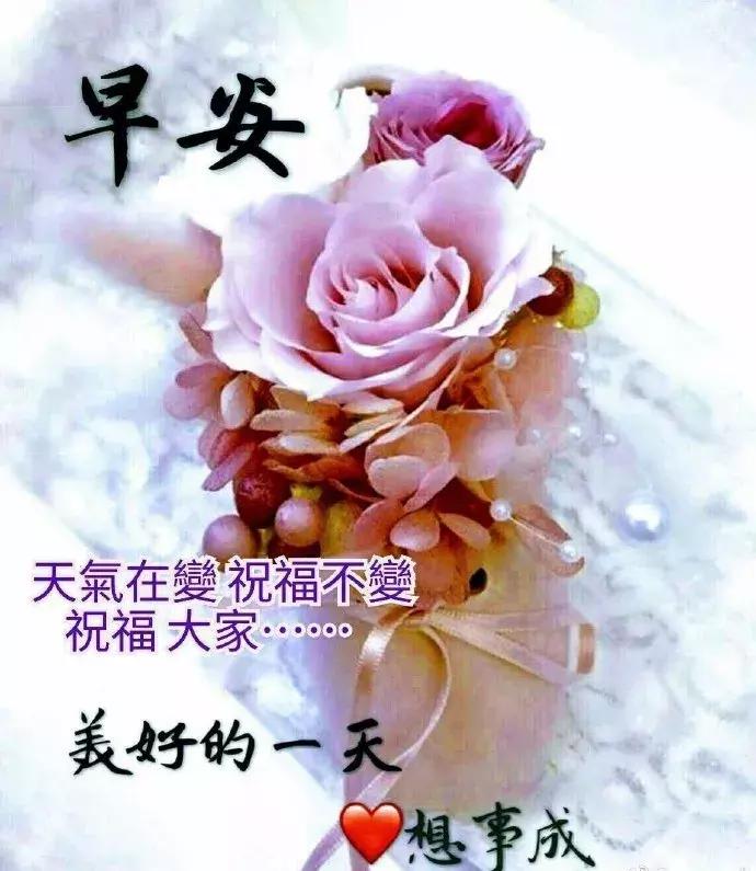 晨曦中的温暖与时代的印记，最新朋友圈早安问候语分享