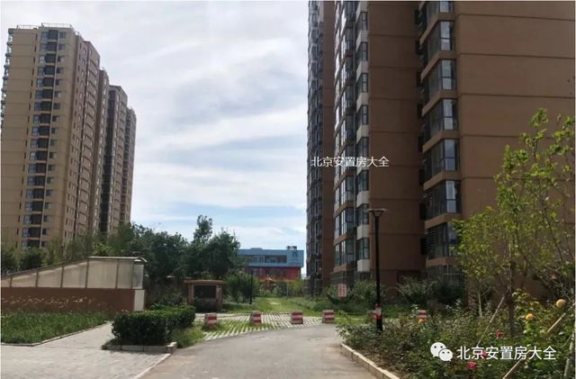 五女冢安置房最新动态，家园变迁与自我成长的自信与成就感