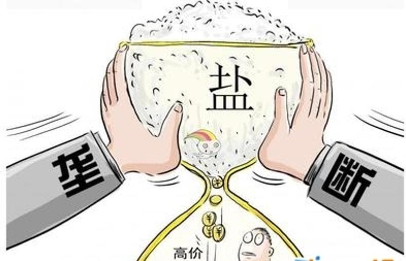 盐改最新动态，新闻98家深入解读盐改进展与影响