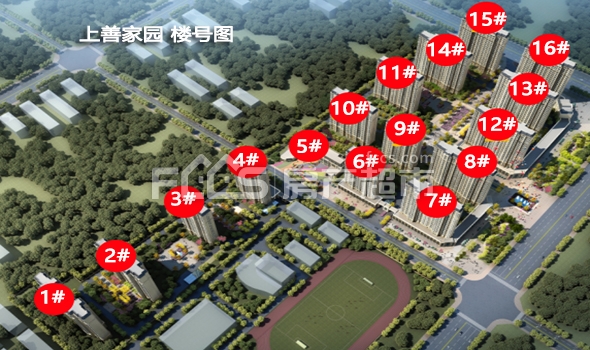 最新动态揭秘