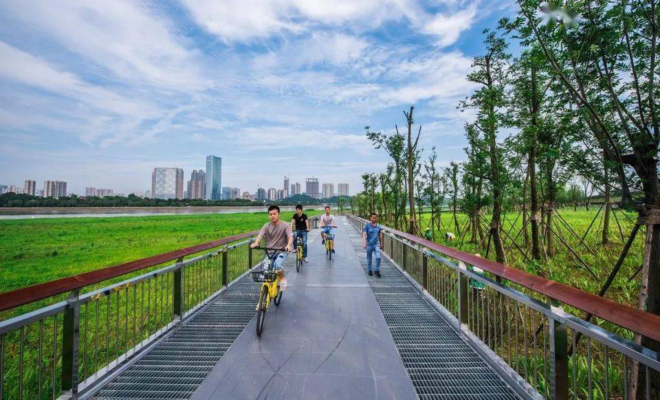 南宁市纸箱厂最新招聘信息及应聘步骤指南